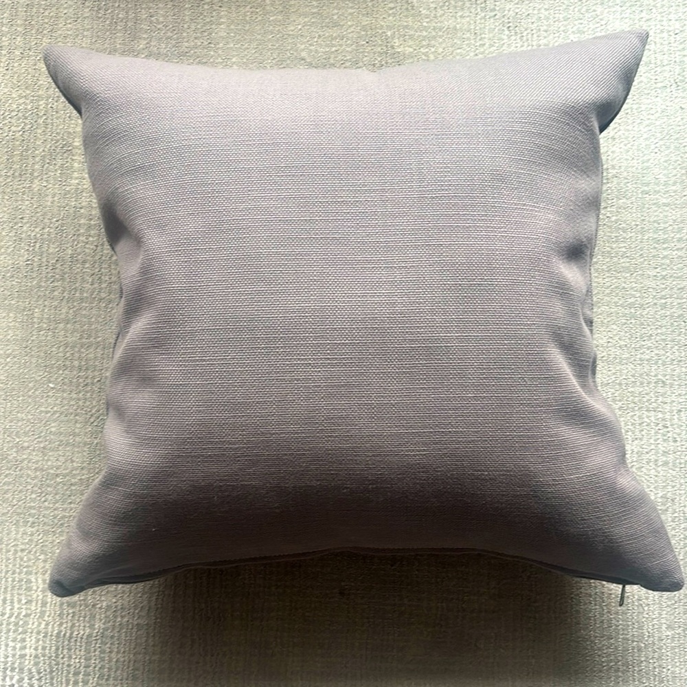 Restoration Hardware Pillow Sham + Pillow